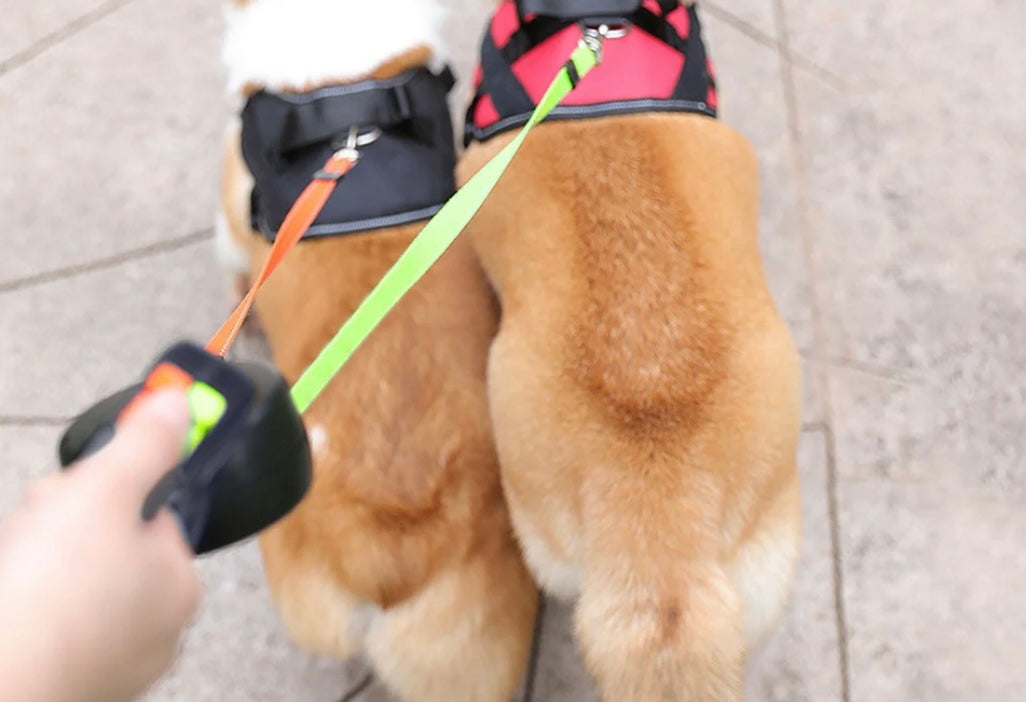 Dual Dog Leash