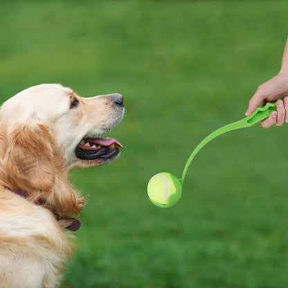 Pet Throwing Stick Dog